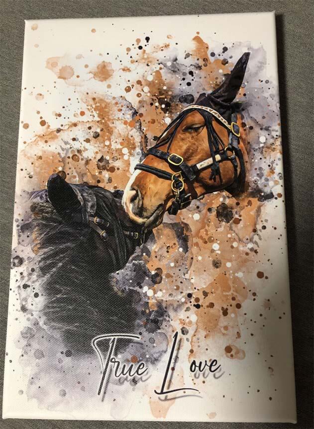 Your Horse as Watercolor Portrait